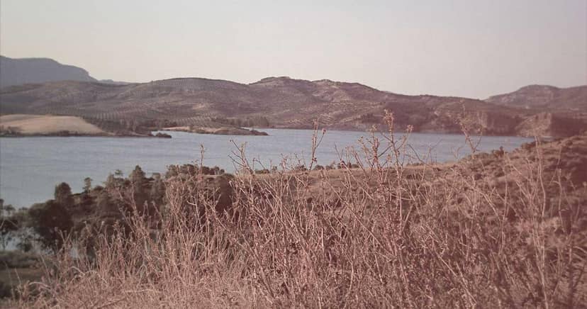 Unauth title gPMLutHr